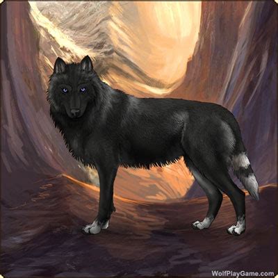 wolfplaygame